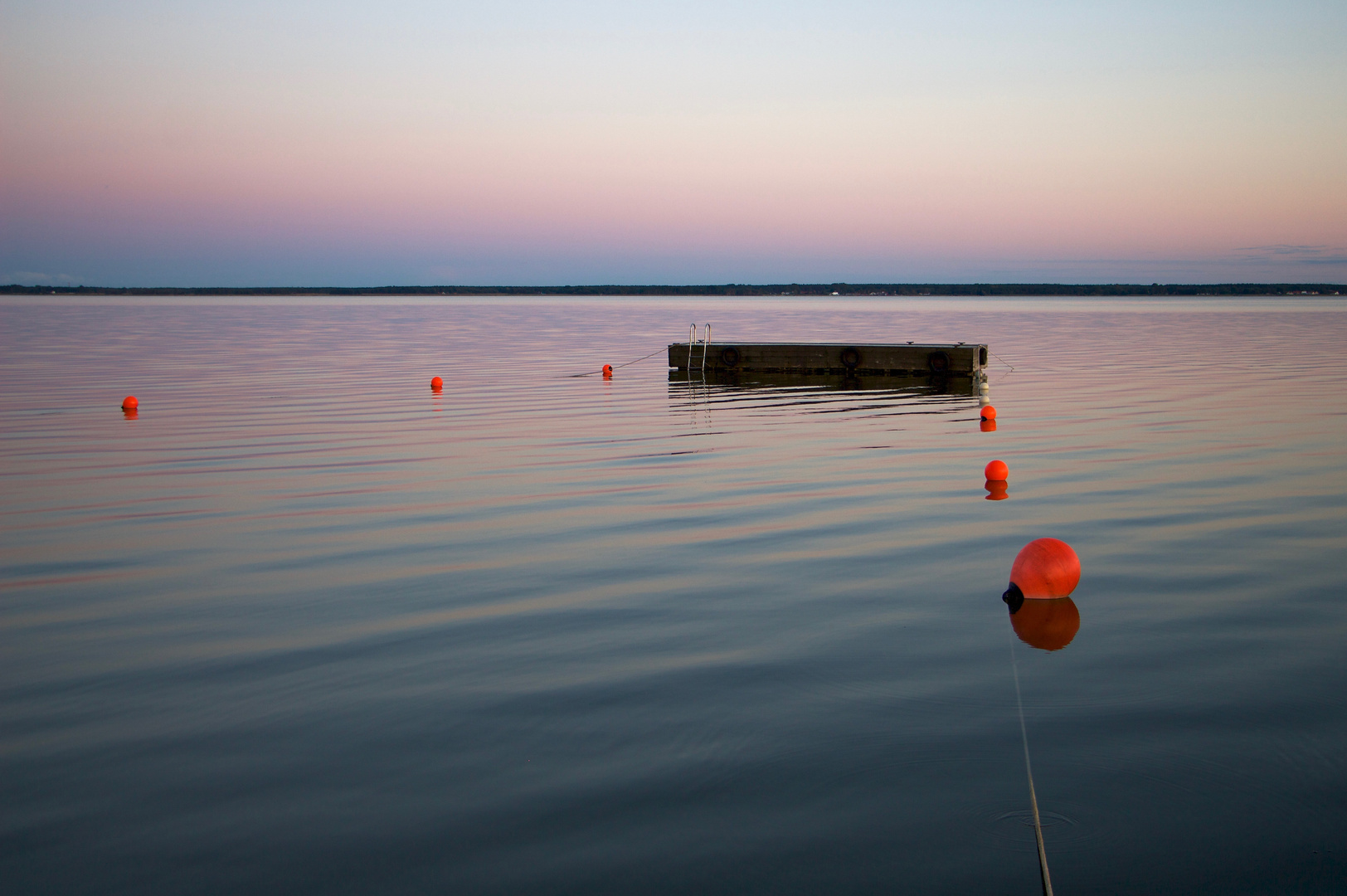 Saaler Bodden