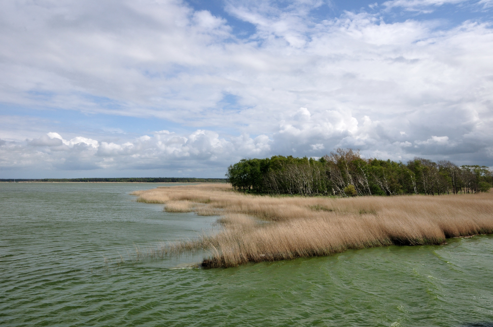 Saaler Bodden 2