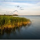 Saaler - Bodden bei Born auf dem Daß