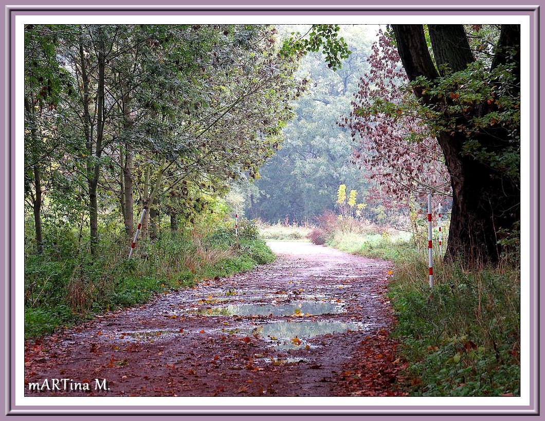 Saalespaziergang (mit Gedicht)