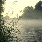 Saaleufer im Nebel