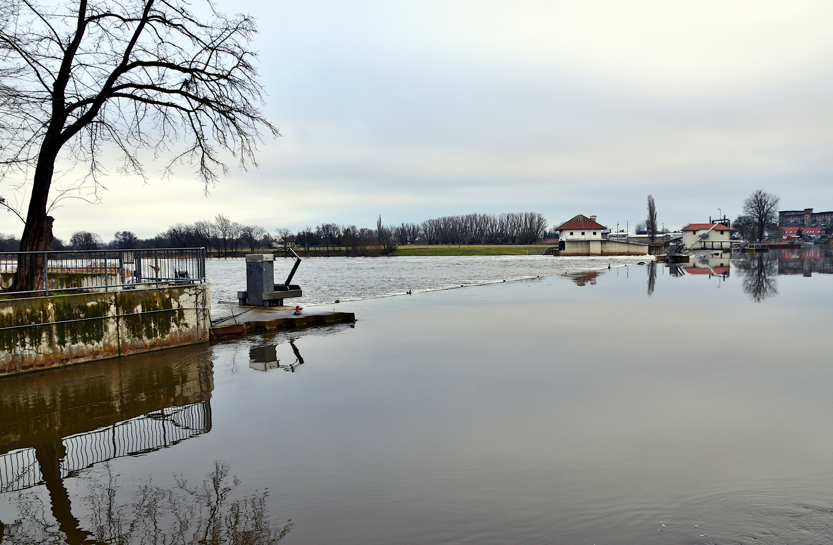 Saalewehr Aufnahme vom 04.02.2021