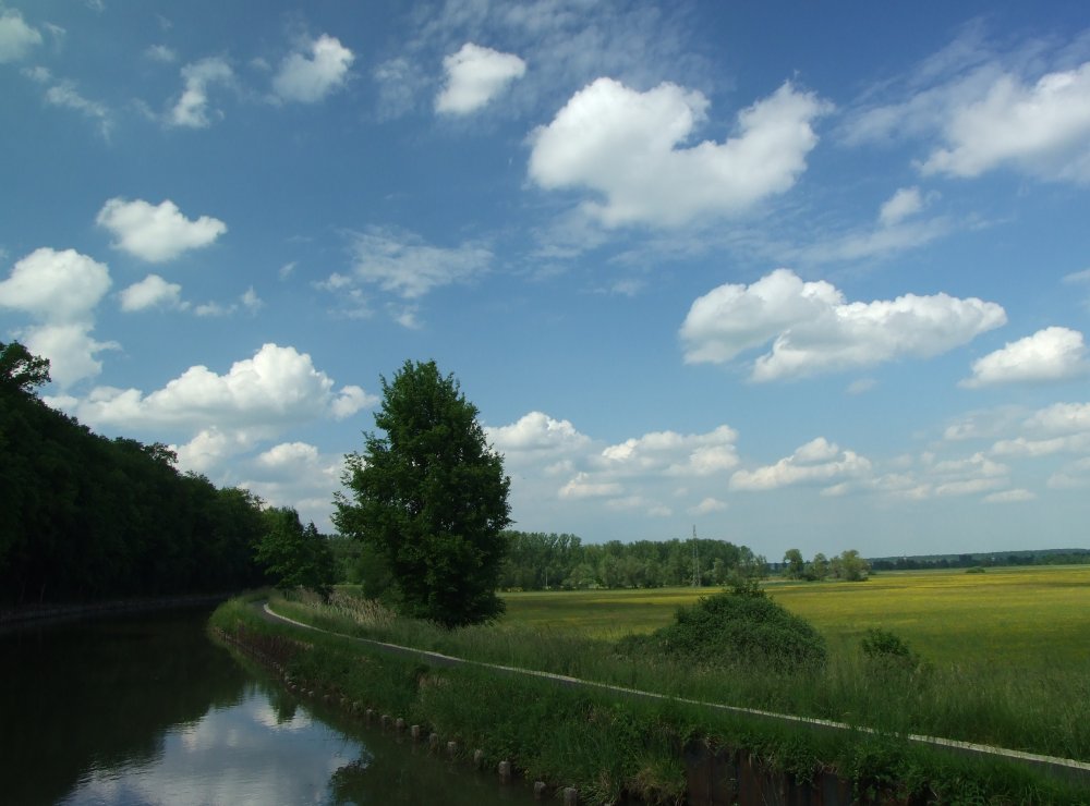 Saar-Kohlekanal