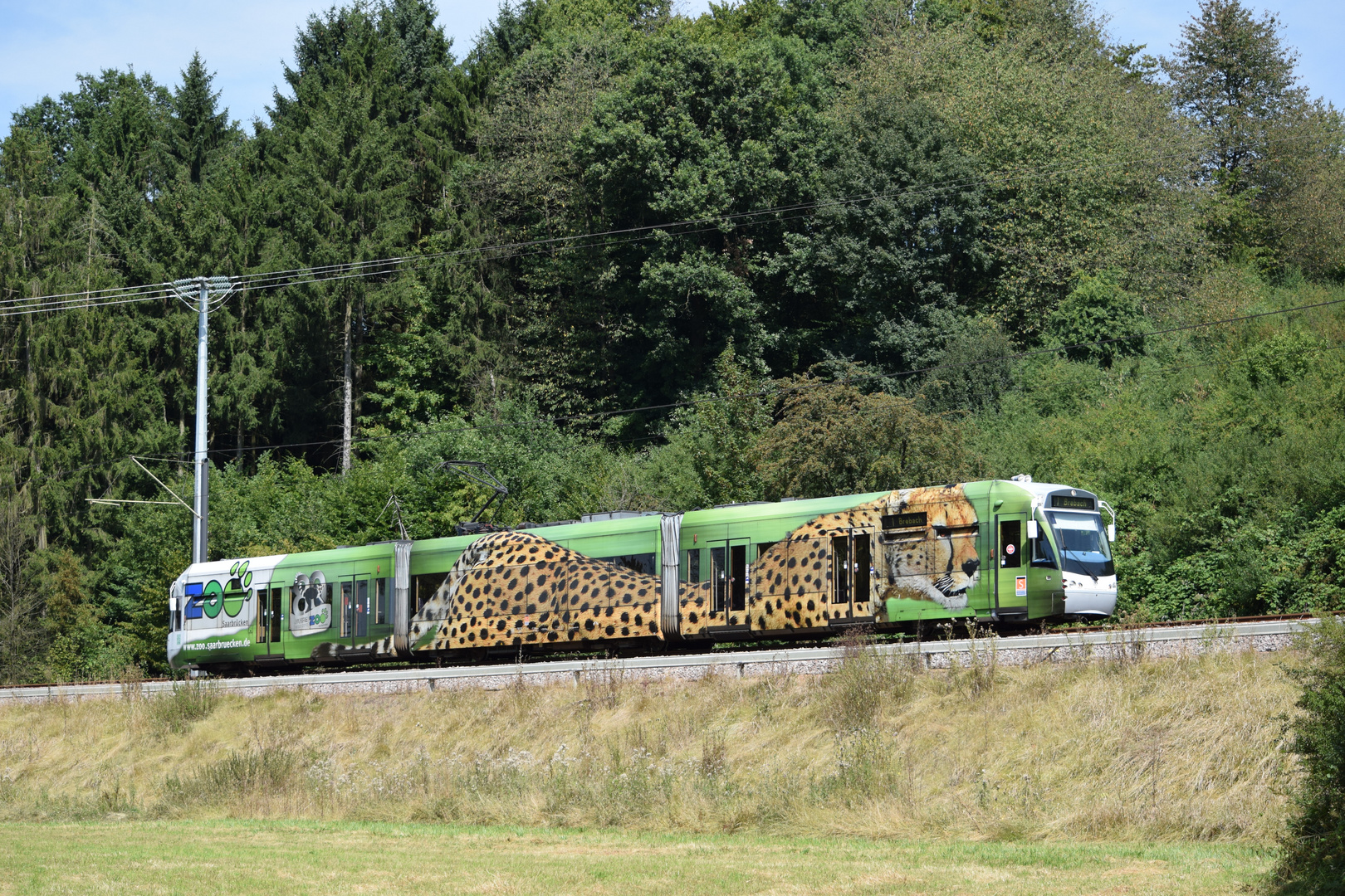 Saarbahn kurz vor der Haltestelle Lebach-Süd