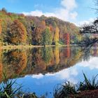 Saarbrücken - Deutsch-Französischer Garten