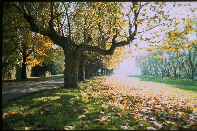 Saarbrücker Staden im Herbst