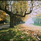 Saarbrücker Staden im Herbst