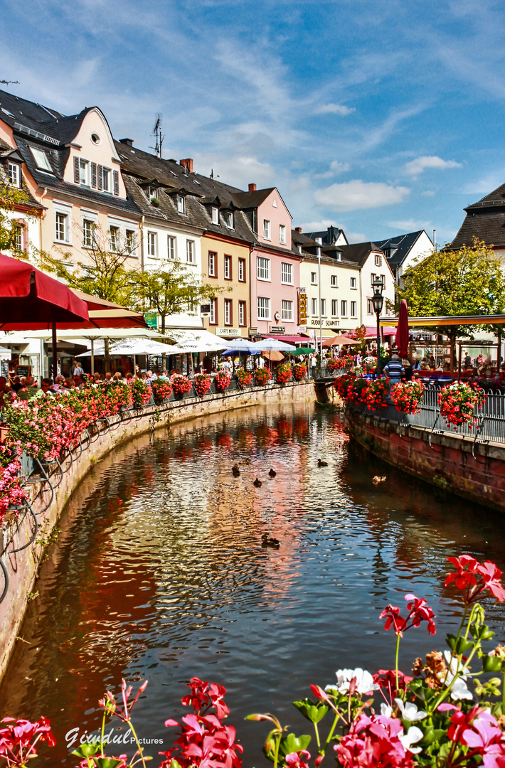 Saarburg, ein Sommertraum! (2)