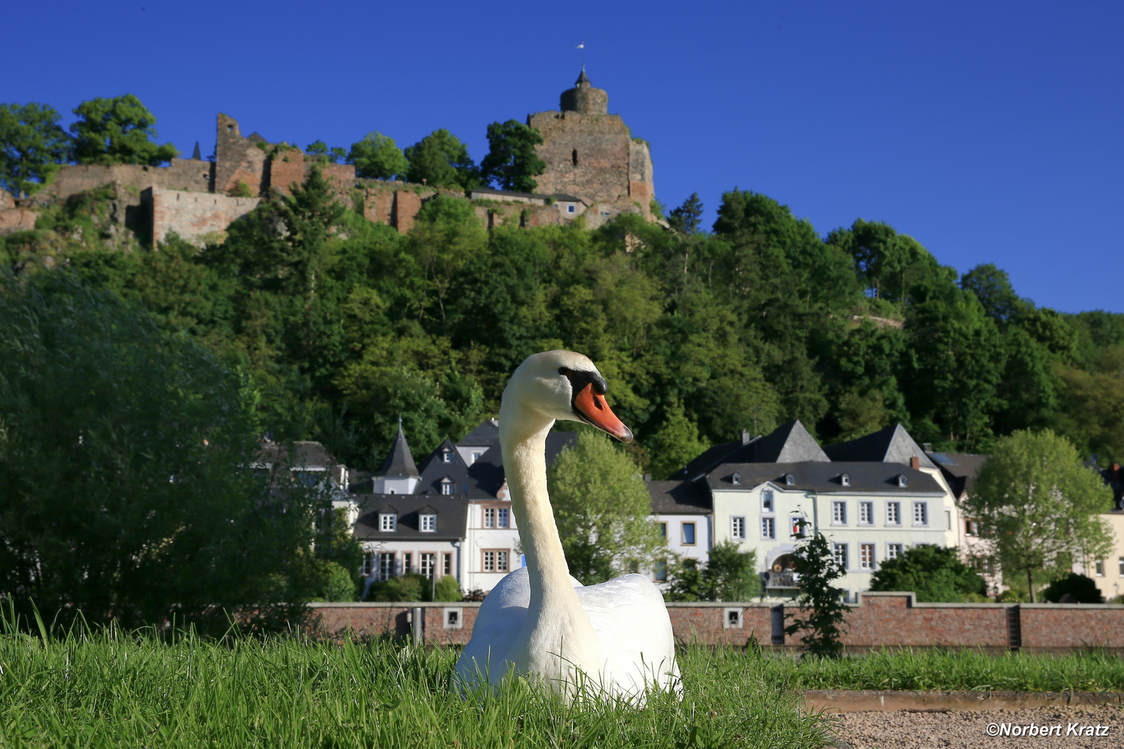 Saarburg , sun & swan