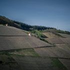 Saarburg Weinberge