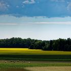 Saaremaa, Estland