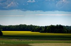 Saaremaa, Estland