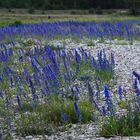 Saaremaa, Undva