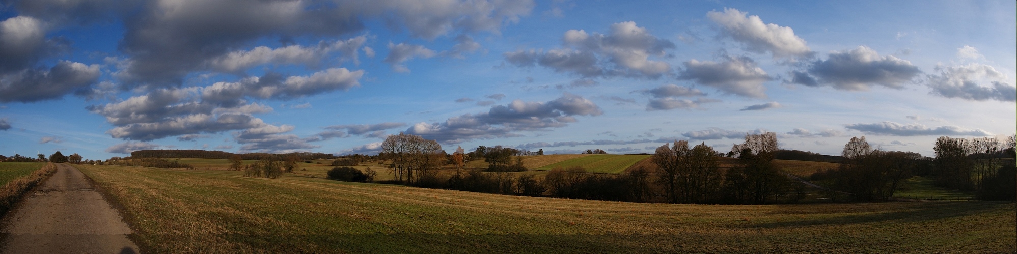 Saargrau bei Oberesch