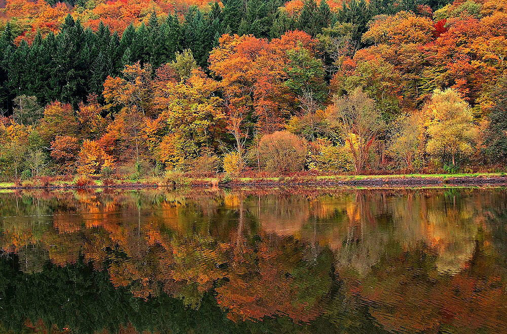 Saarherbst