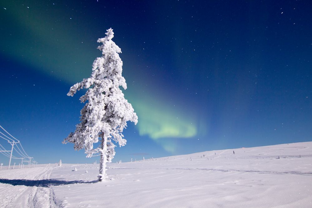 Saariselkä