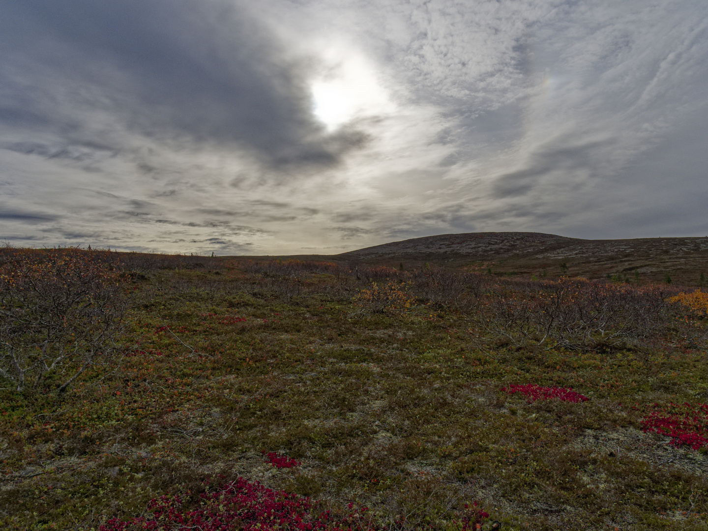 Saariselkä Fjäll Finnisch Lappland