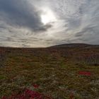 Saariselkä Fjäll Finnisch Lappland