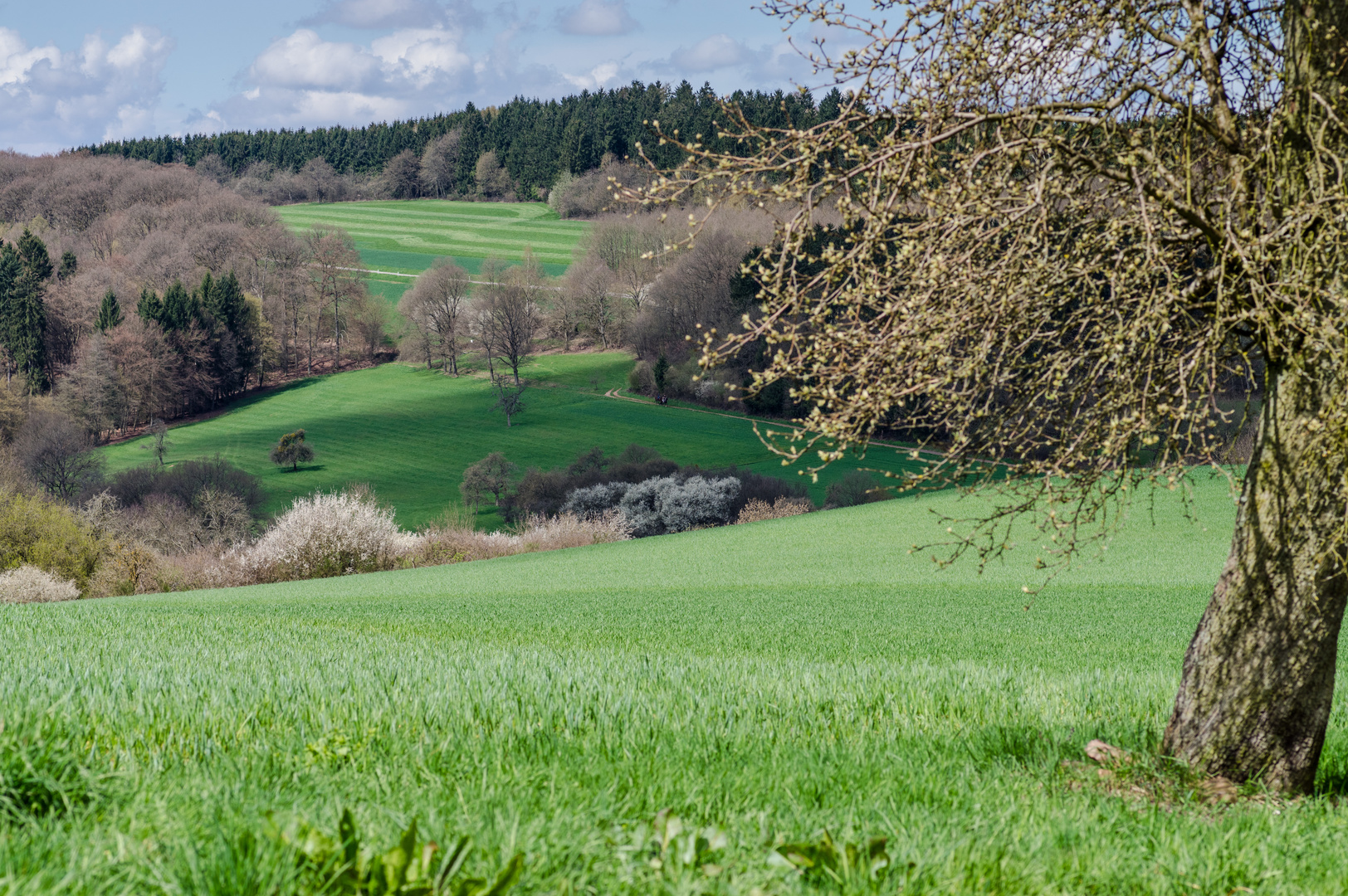 Saarländische Landschaft