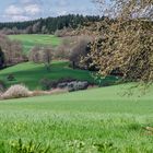 Saarländische Landschaft