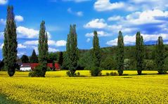 Saarländische Toscana bei Fremersdorf ...