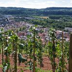 Saarländischer Landwein