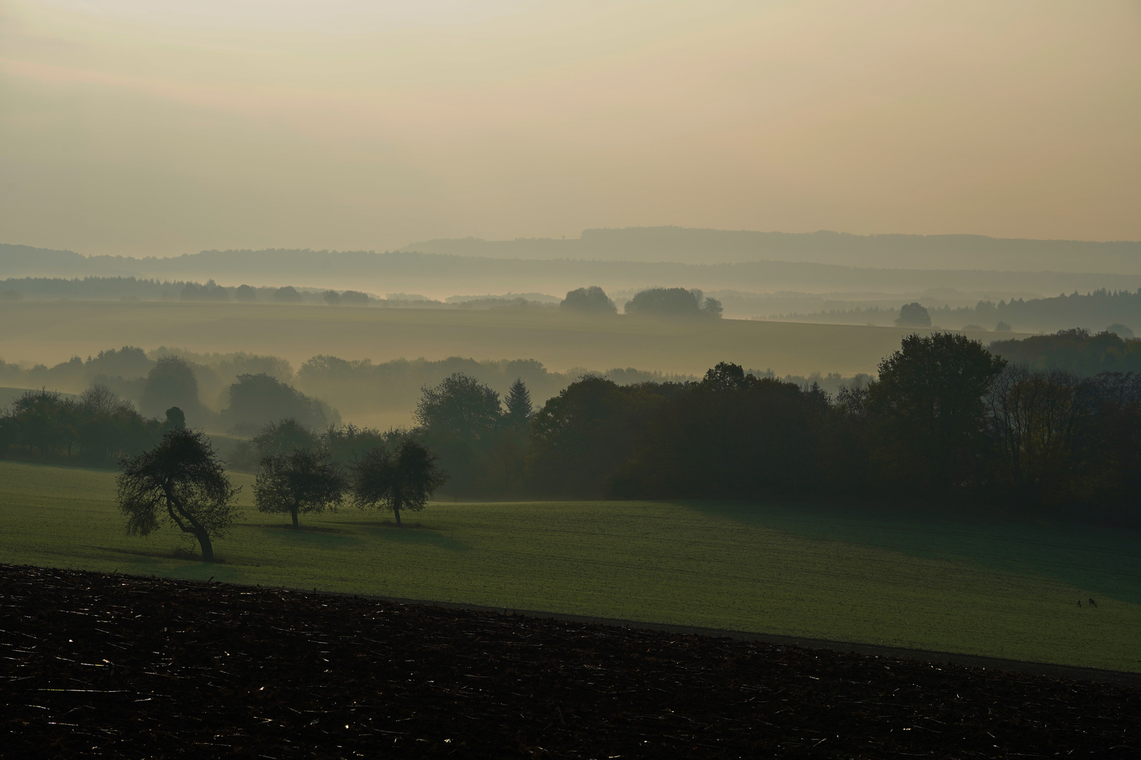 Saarland 