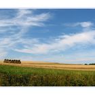 Saarlandsommer 2 - Heuordnung