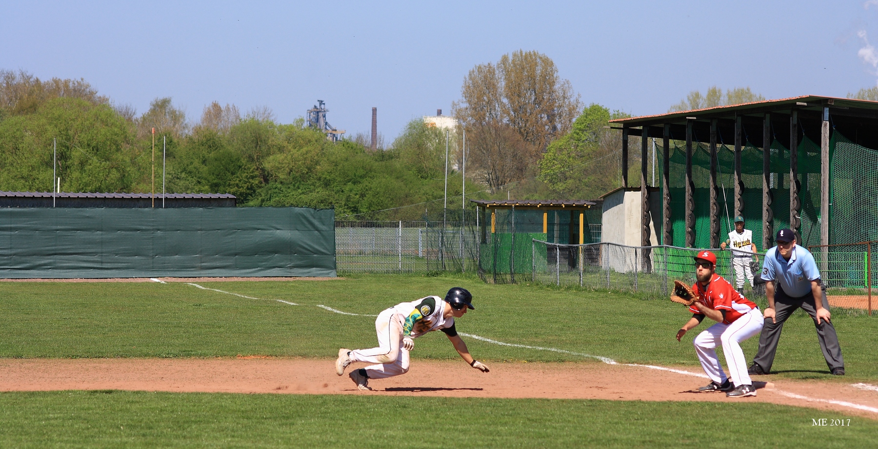 Saarlouis-Hornets 1. Baseball-Bundesliga 