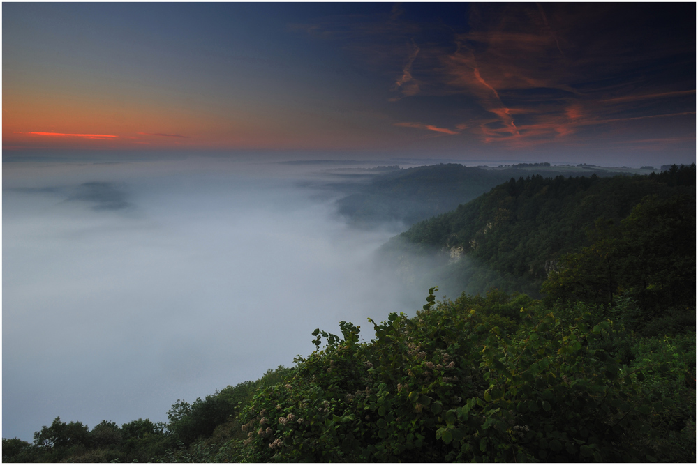 SAARSCHLEIFE BEI METTLACH IM NEBEL