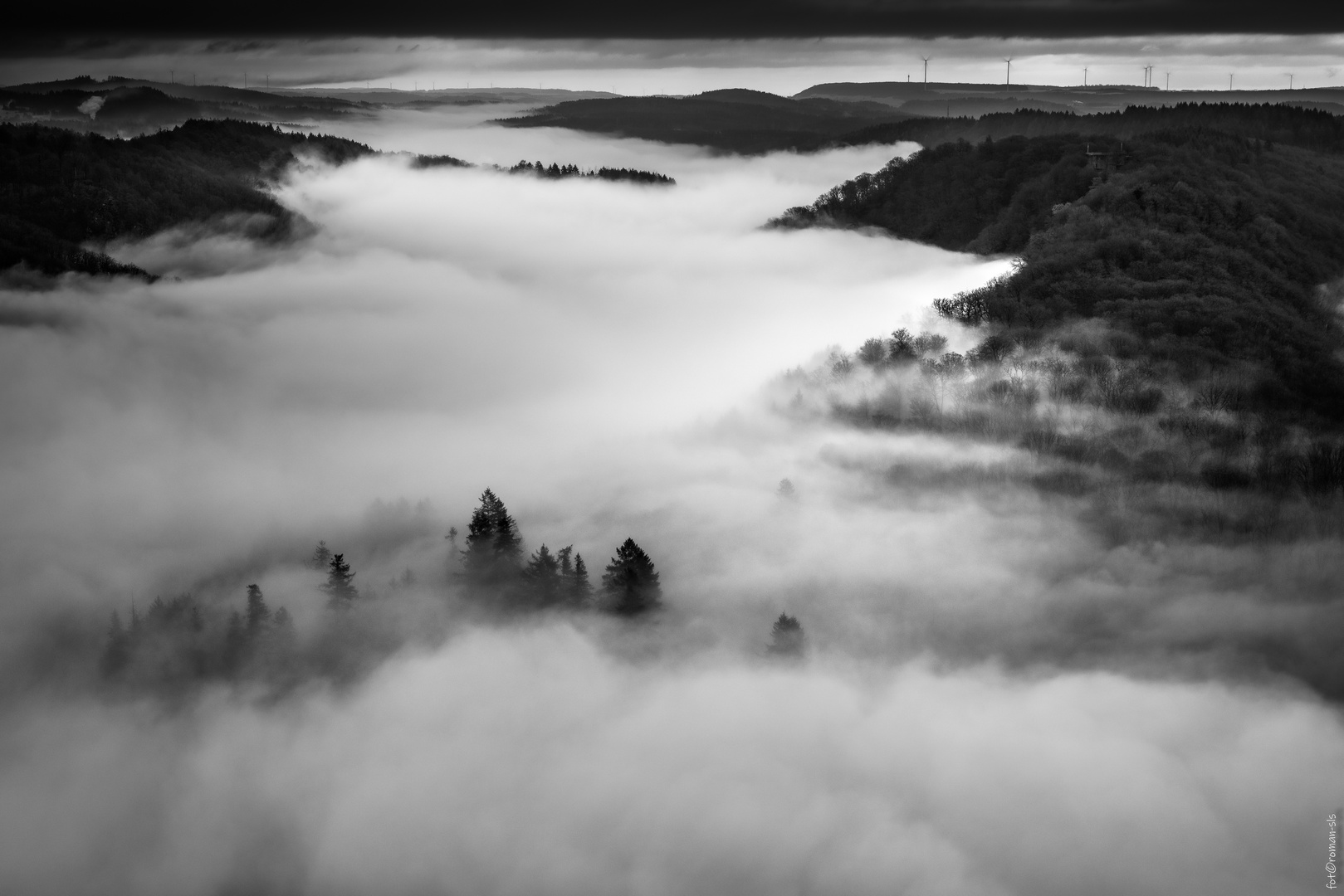 Saarschleife im nebel