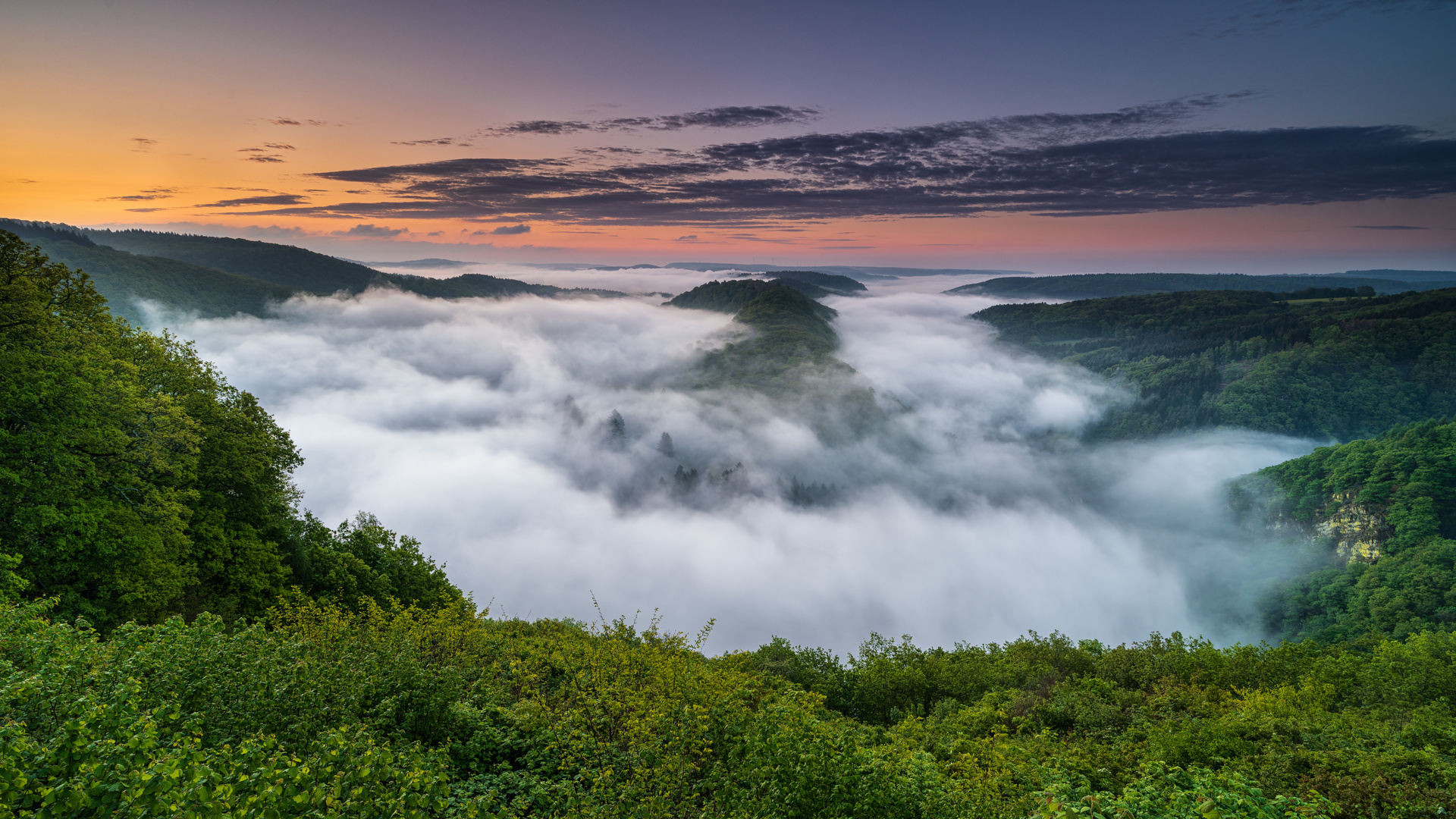 Saarschleife mit Nebel im Mai