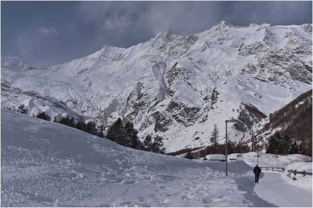 SAAS FEE