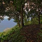 Saba Blick vom Sandy Cruz Trail auf Diamond Rock