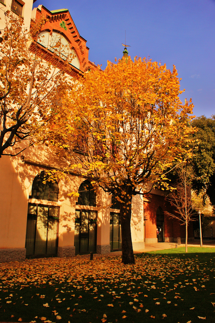 SABADELL ESCOLA INDUSTRIAL VELLA DE ALEIX DAVIU