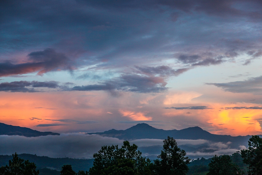 Sabah Tea Garden