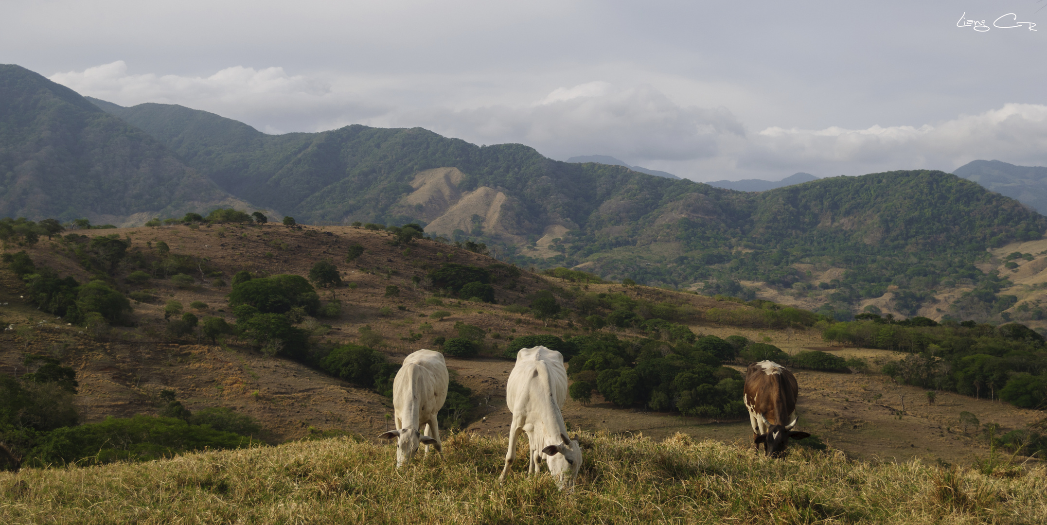 Sabana Bonita, Esparza, Costa Rica