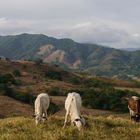 Sabana Bonita, Esparza, Costa Rica