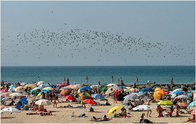 Sabbia e cielo affollati.