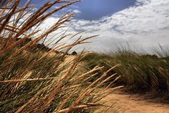 sabbia e vento
