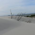 Sabbie bianche di Porto Pino