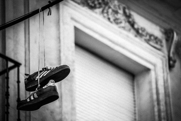 ¿Sabías que... (leer descripción)