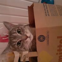 Sabine-H.