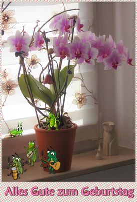 Sabine hat Geburtstag