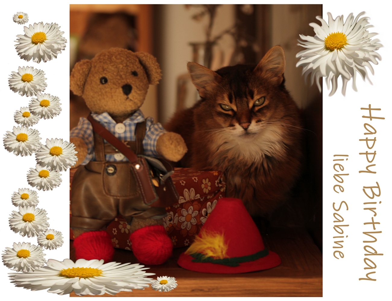 Sabine hat Geburtstag Foto & Bild spezial, katzen, geburtstag Bilder