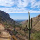 Sabino Canyon