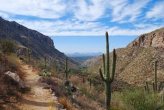 Sabino Canyon