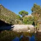 Sabino Canyon bei Tuscon