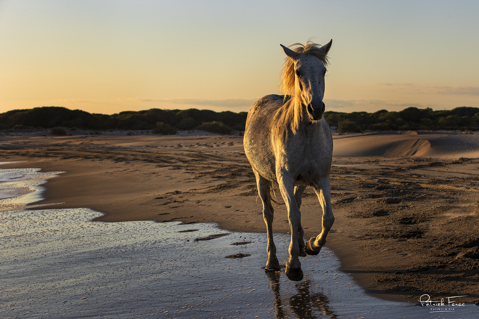 Sable chaud.