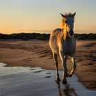 Sable chaud.